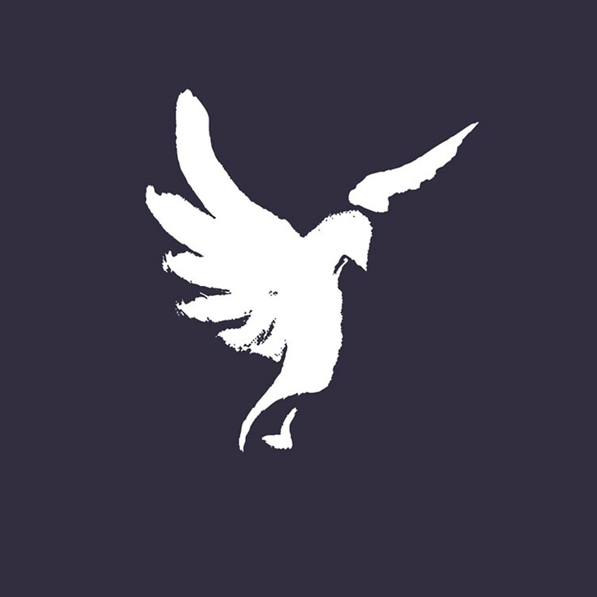Illustration-Dove-Holy-Spirit