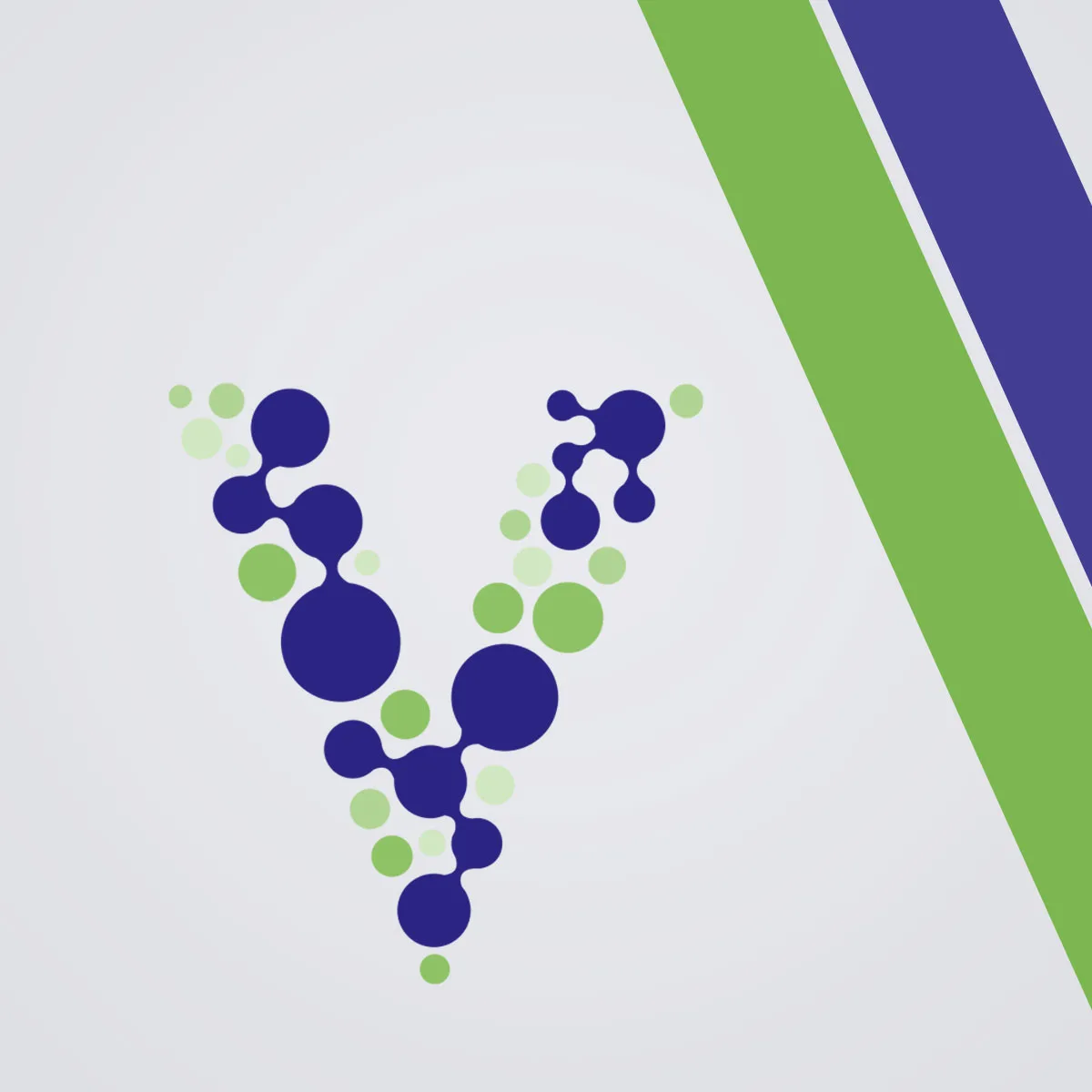 Doodl Creative Client Case Study Valley Physical Therapy alt